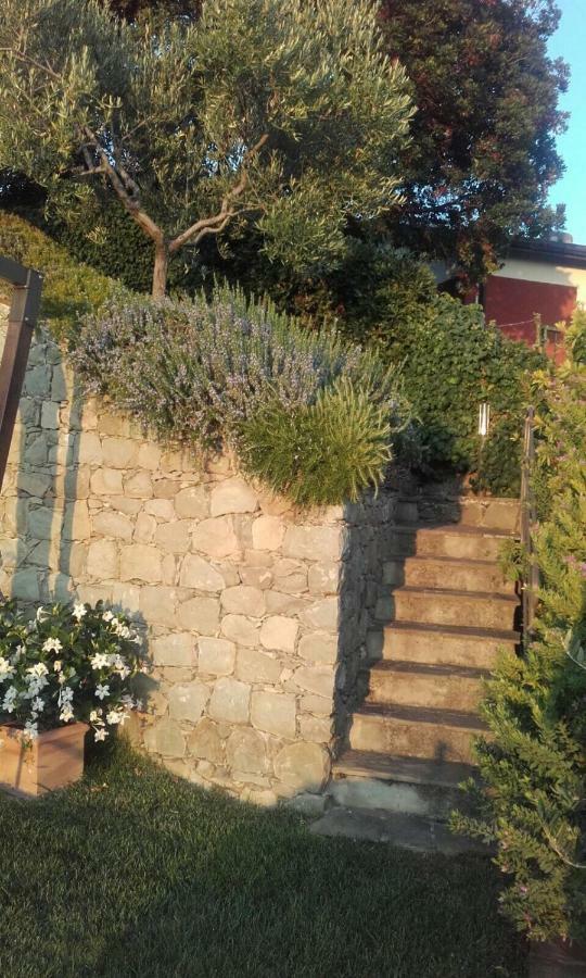 il corbezzolo - Suite Levanto Esterno foto